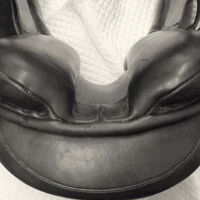 10d66a5a4a5873a2e407951af9c0ca31.jpg - 15