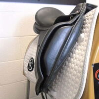 18ec8339a13d66475fe4928c5ea56a38.jpg - 14