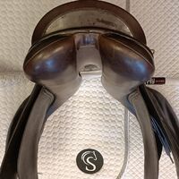 20e0c0730c9cc40860bb21bde25be2e1.jpg - 14