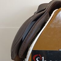 239ed9b38bb18218465f01eba85073c7.jpg - 12