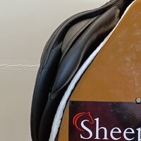 2b883dd779c926bfb81bd5b731b37fbc.jpg - 13