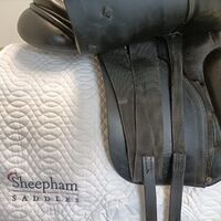 342deb1cd2374df60cf392bda866350e.jpg - 5