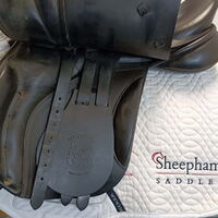 3555420dac9b8c3c5b46d7b1d3a15760.jpg - 3