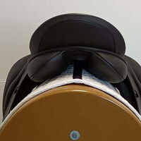 41cbba11b356a54e8d0442993654f66d.jpg - 6