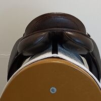 4c96a1759be61e4c6a4b48daa9e34ee4.jpg - 6