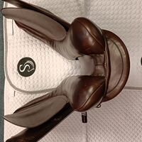 548ff615288b2be0c6f95e01fed4175f.jpg - 14