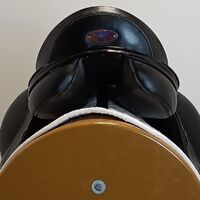 7496cd695e7b6d989854386f3f2dcb46.jpg - 5