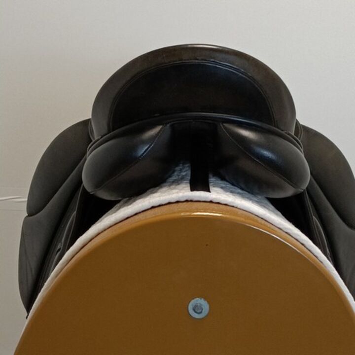 IMG20240301151441.jpg