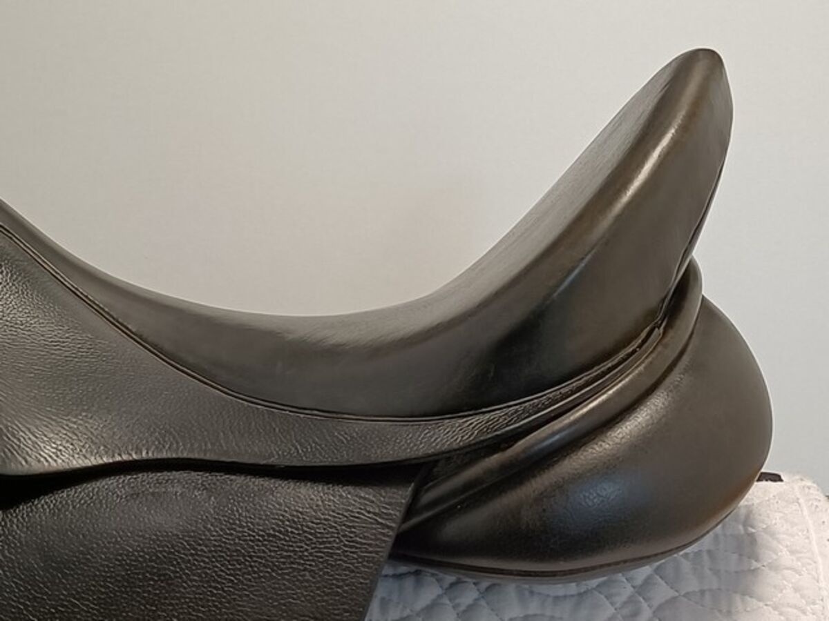 81e1bd719fcec52a0070a1d6e7ffe56d.jpg - 3