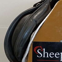 994edaa270b71eb961709207dccf4f44.jpg - 12