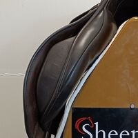 0cd4f84cbd28ade31741035407b0e286.jpg - 12