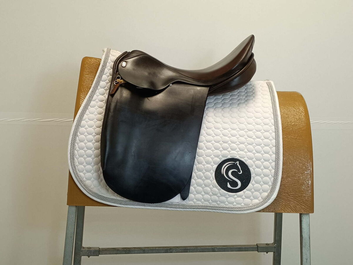 1353e859c7e5f05f1830f60e21ebf976.jpg - 2