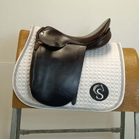 1353e859c7e5f05f1830f60e21ebf976.jpg - 2