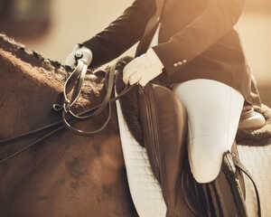 rider on a horse holding reins