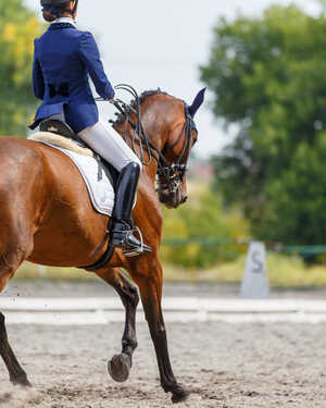 A rider in blue attire on a brown horse in an equestrian arena.
