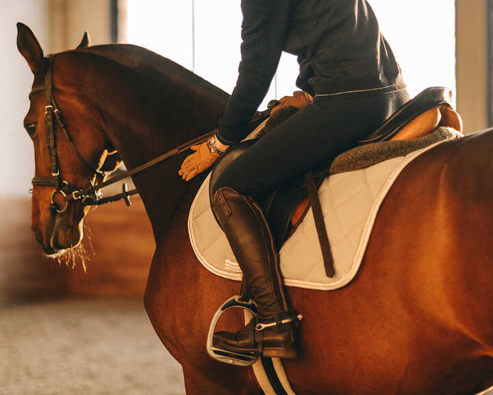 A person is riding a brown horse indoors, with a focus on the rider's leg and saddle.