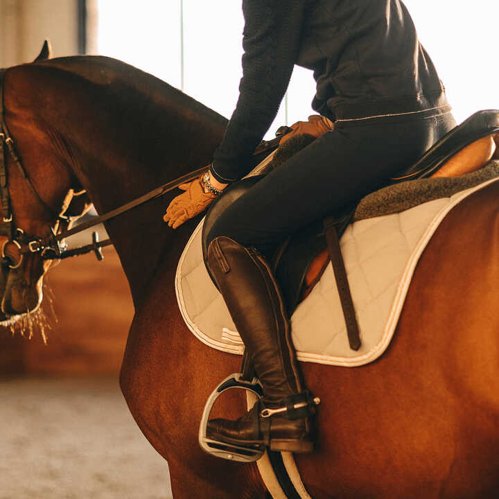 A rider sits on a brown horse in an indoor arena, focusing on the horse's movements.