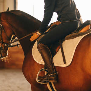 A rider sits on a brown horse in an indoor arena, focusing on the horse's movements.