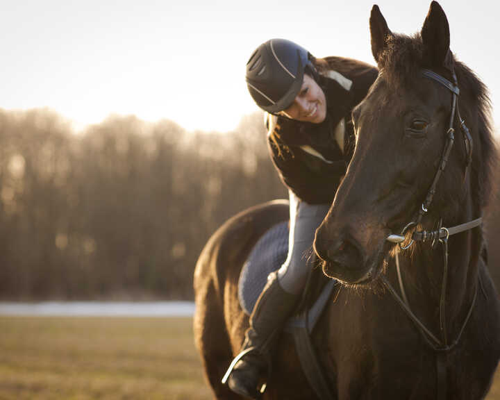 A person riding a brown horse in a sunlit field during the evening.