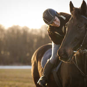A rider on a black horse, both in a sunny field, with trees in the background.
