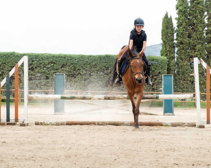 A person riding a horse jumps over an obstacle in an outdoor arena.