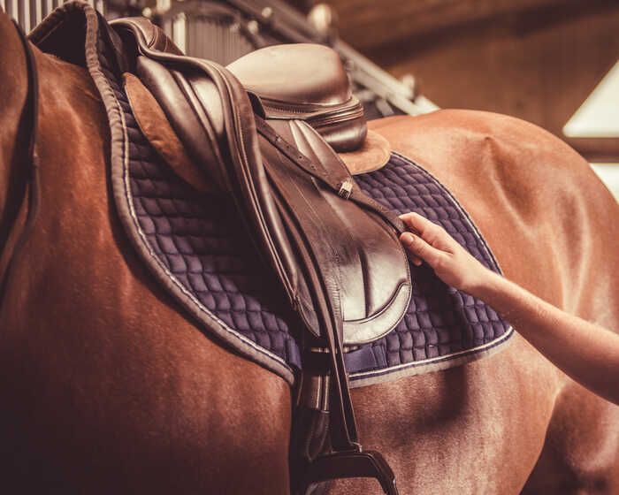 A hand adjusts a saddle on a brown horse in a stable.