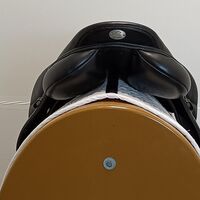 c8dd21a6d72905746b18cfdf79d366a8.jpg - 6