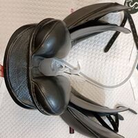 cf042aedab426041704df1d0d6bccdad.jpg - 12