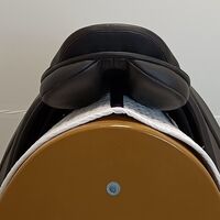 cf6dd008402533e2fb28bb65ad48c892.jpg - 6