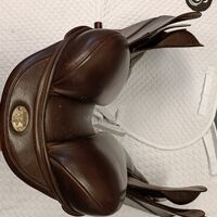 d058e5813df467ef543c7e899d1d8095.jpg - 14