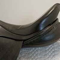 d783fe05579b6ccbea371c21e1fe5537.jpg - 3