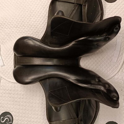 f32d53a19a44e09a58a7e8e50f73ef32.jpg - 15