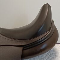 f33a1ea833f656264fdaaeb5716509cb.jpg - 3