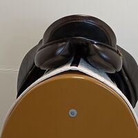 fd3b977a7cc21a032da49093e36f7a01.jpg - 21