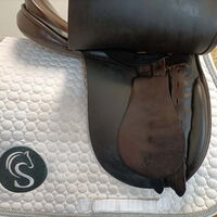 fe1eb249d12e8b2912e2ab6e4fb01ed4.jpg - 13