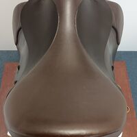 IMG20221021130312.jpg
