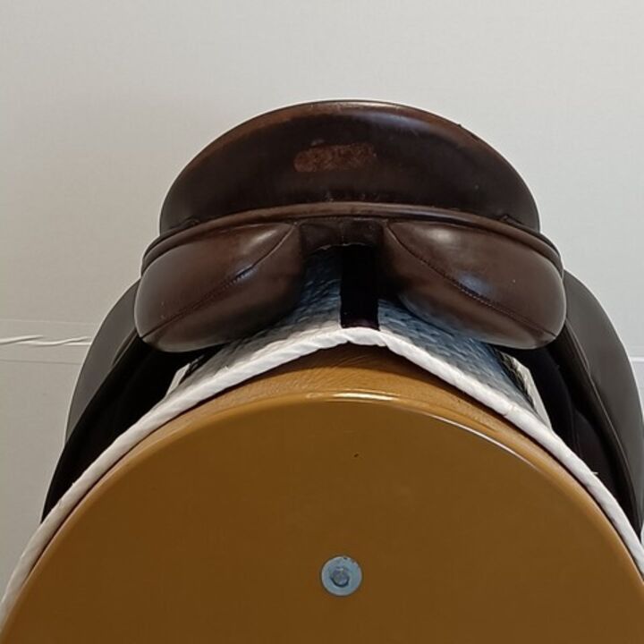 IMG20240220135130.jpg