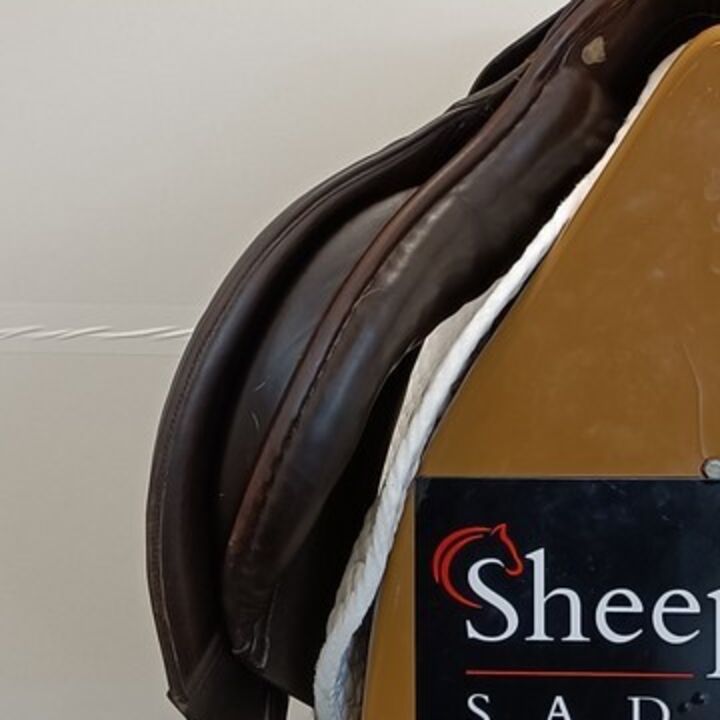 IMG20240220135239_01.jpg