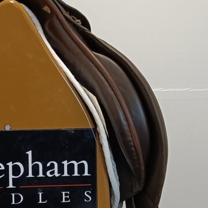 IMG20240220135241.jpg