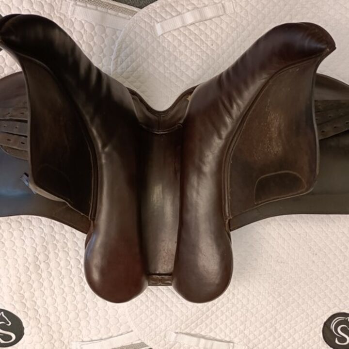 IMG20240220135321.jpg