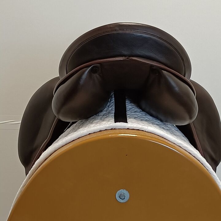 IMG20240716132148.jpg