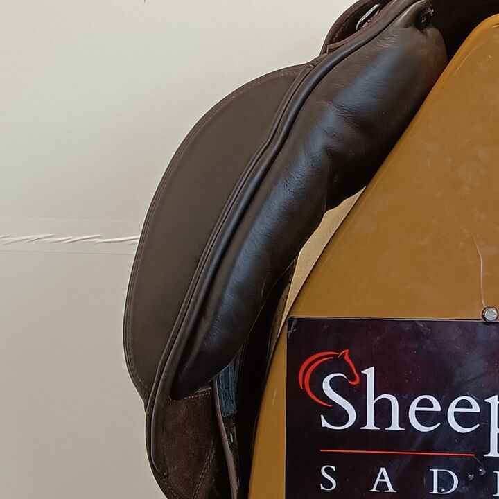 IMG20240716132302.jpg