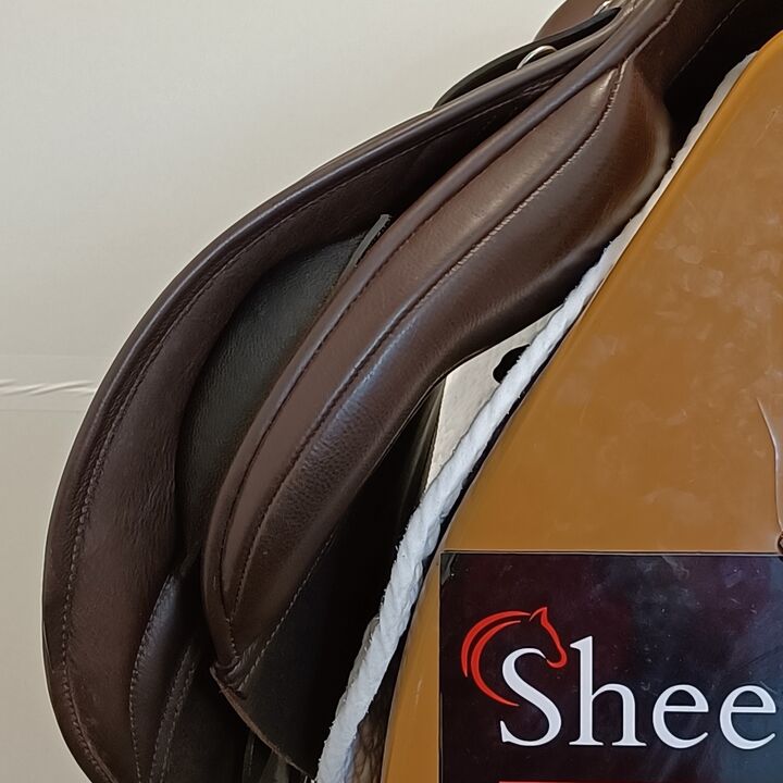 IMG20240716135513.jpg