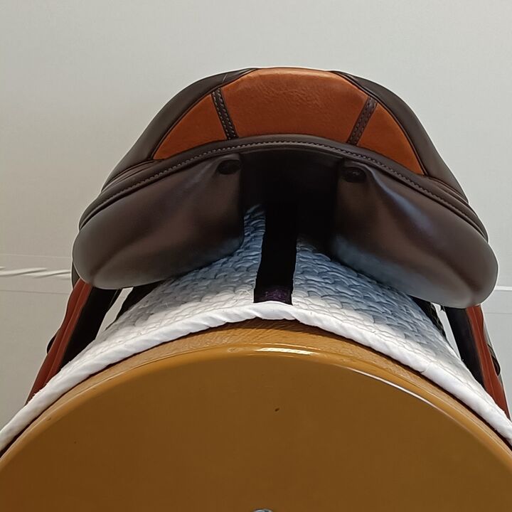 IMG20240725124030.jpg