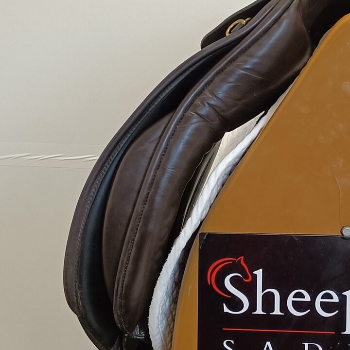 IMG20240725130049.jpg