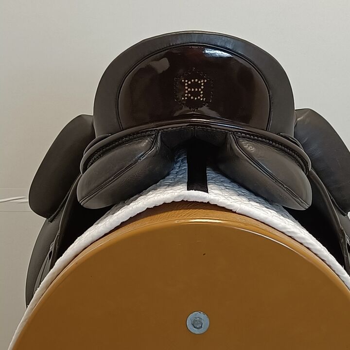 IMG20240808150757.jpg