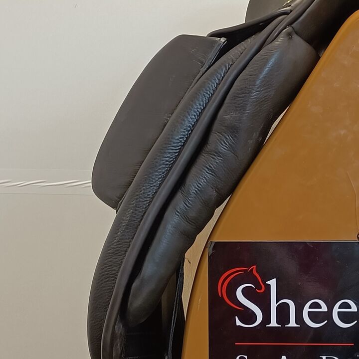 IMG20240808150858.jpg