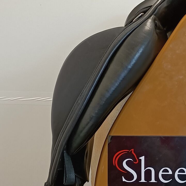 IMG20240808153313.jpg