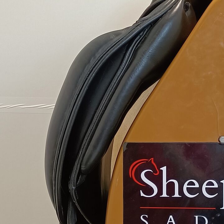 IMG20240808153652.jpg