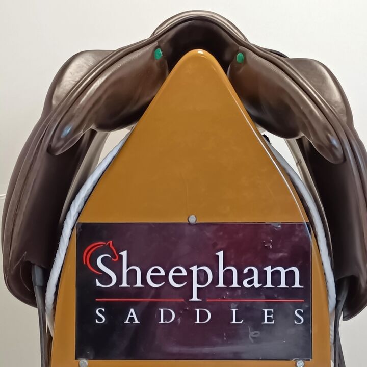 IMG20240813144522.jpg